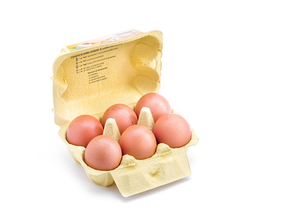 ferruzzi uova fresche grandi allevamento standard