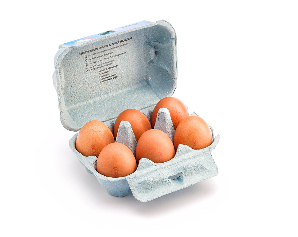 ferruzzi uova fresche grandissime allevamento standard